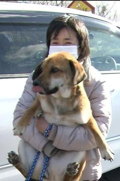 japanese dog rescued re-united with the owner