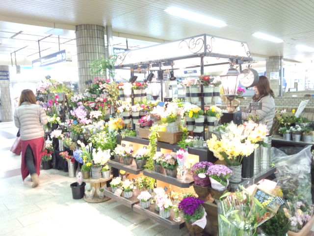 コノカ阪神西宮店ブログ 阪神西宮駅のお花屋さん コノカ