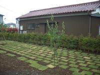 埼玉県 さいたま市 植木屋 庭師 造園業 庭づくり 植栽 垣根 生垣　ドウダンツツジ