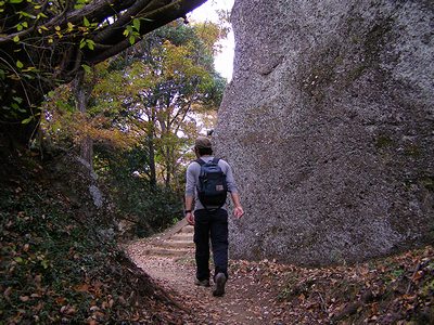 歩きやすい登山道
